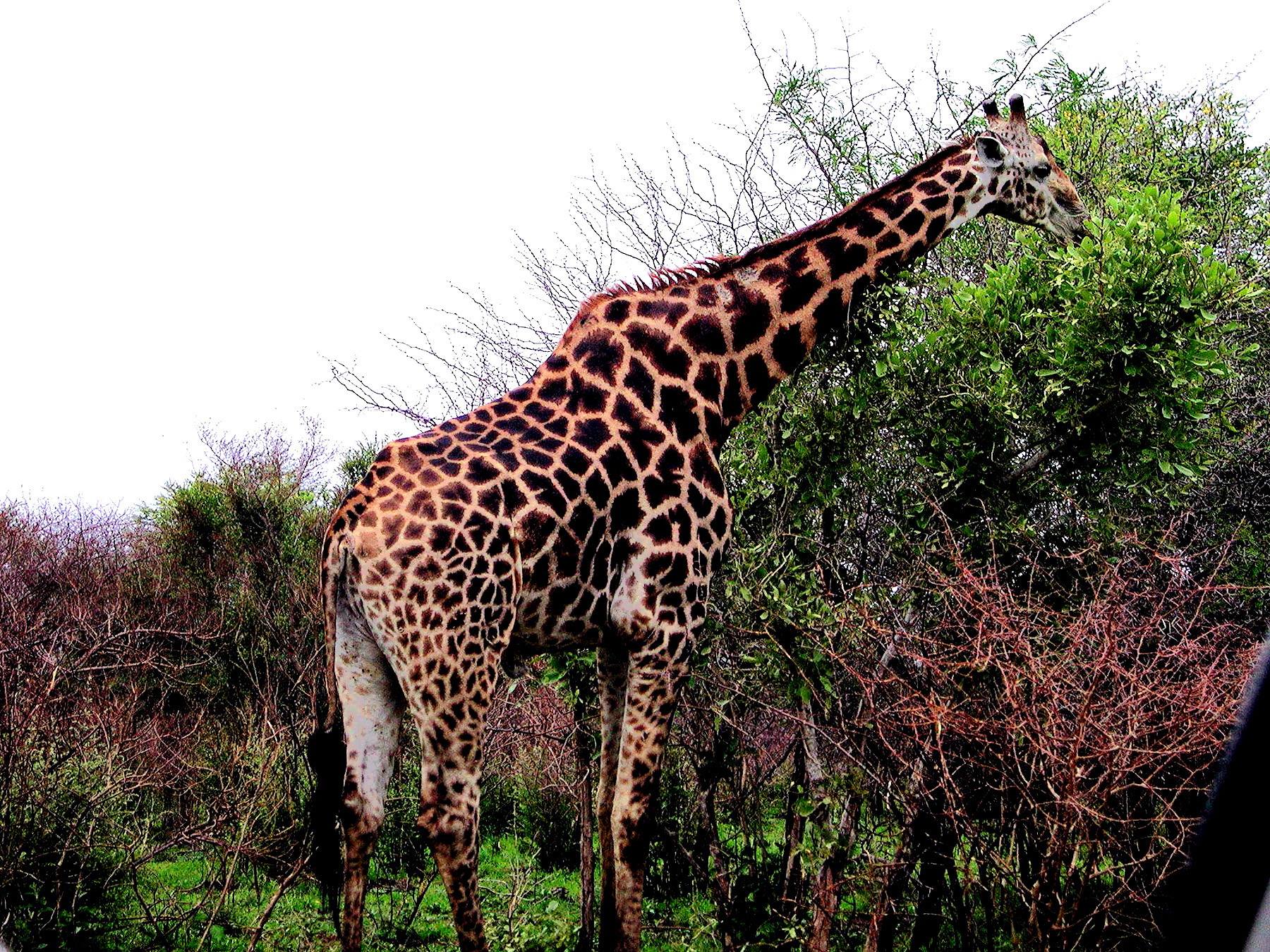 DSCN1428.JPG