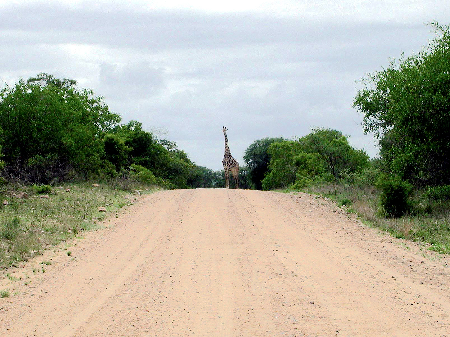 DSCN1445.JPG
