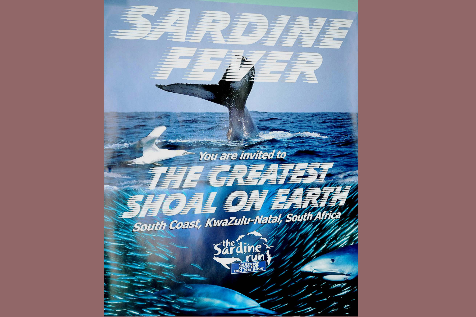 Greatest Shoal Poster - Landscape.jpg
