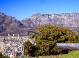 Cape Town  - Table Mountain and the Cannon from Signal Hill.jpg