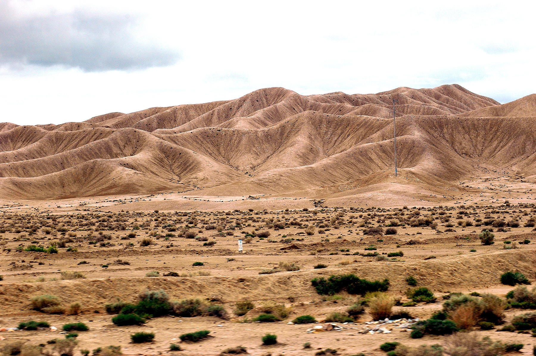 DSC_1961.JPG