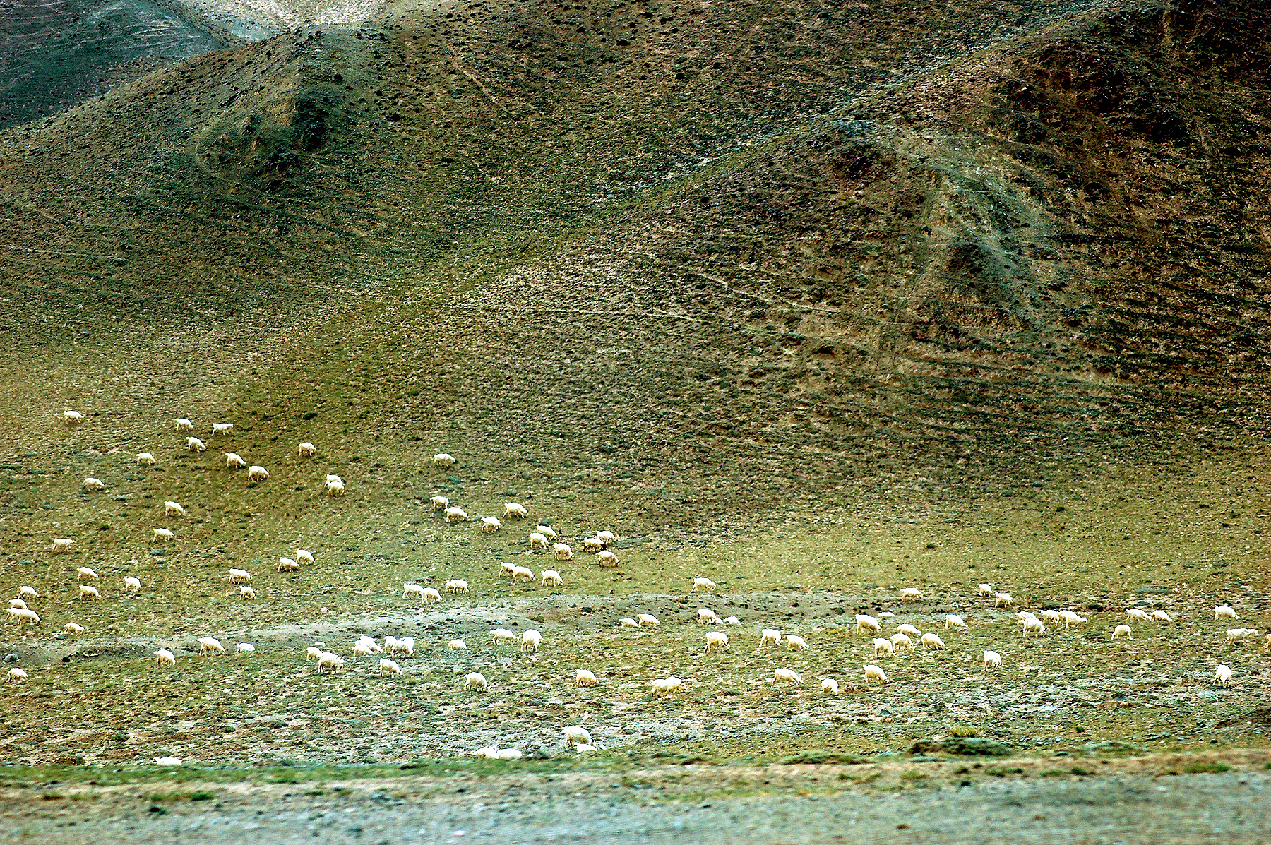 DSC_2006.JPG