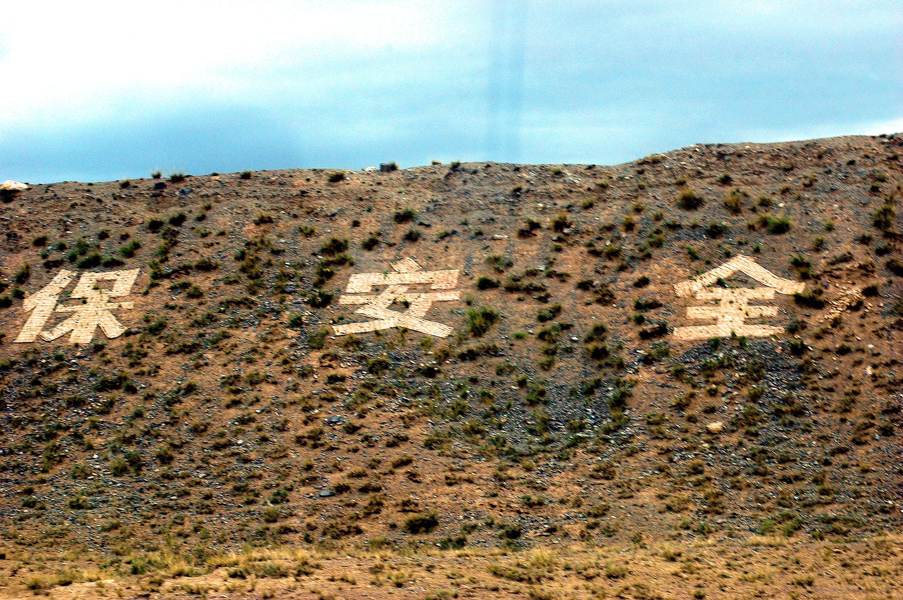 DSC_2021.JPG