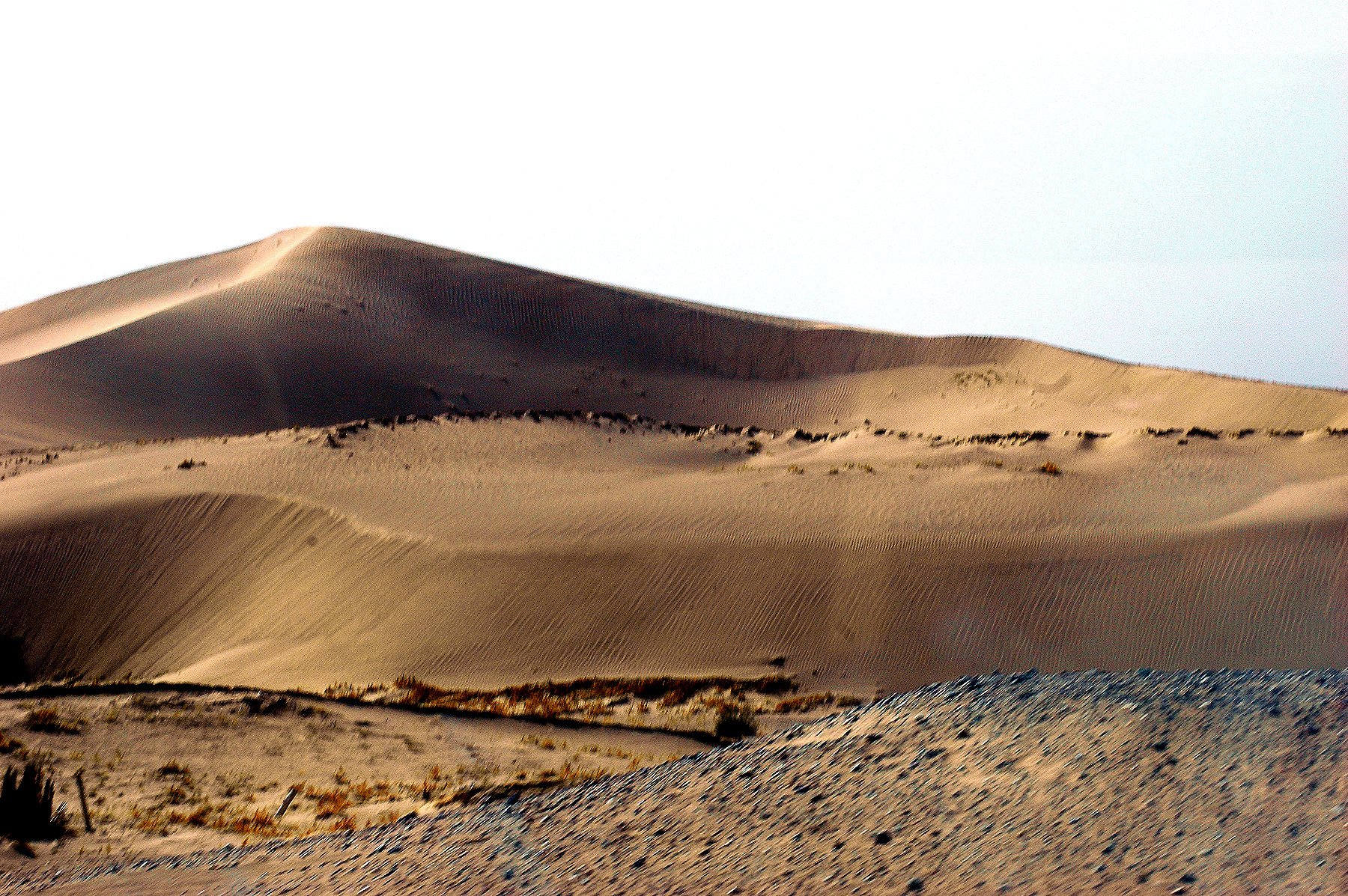 DSC_2043.JPG