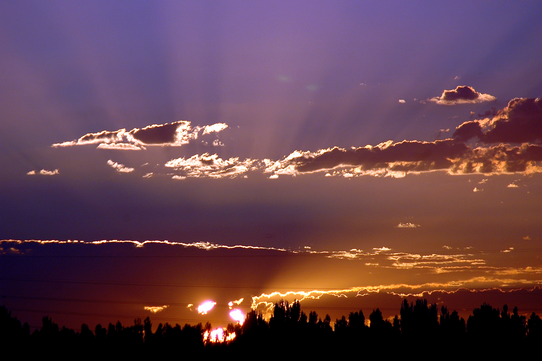 DSC_2460.JPG