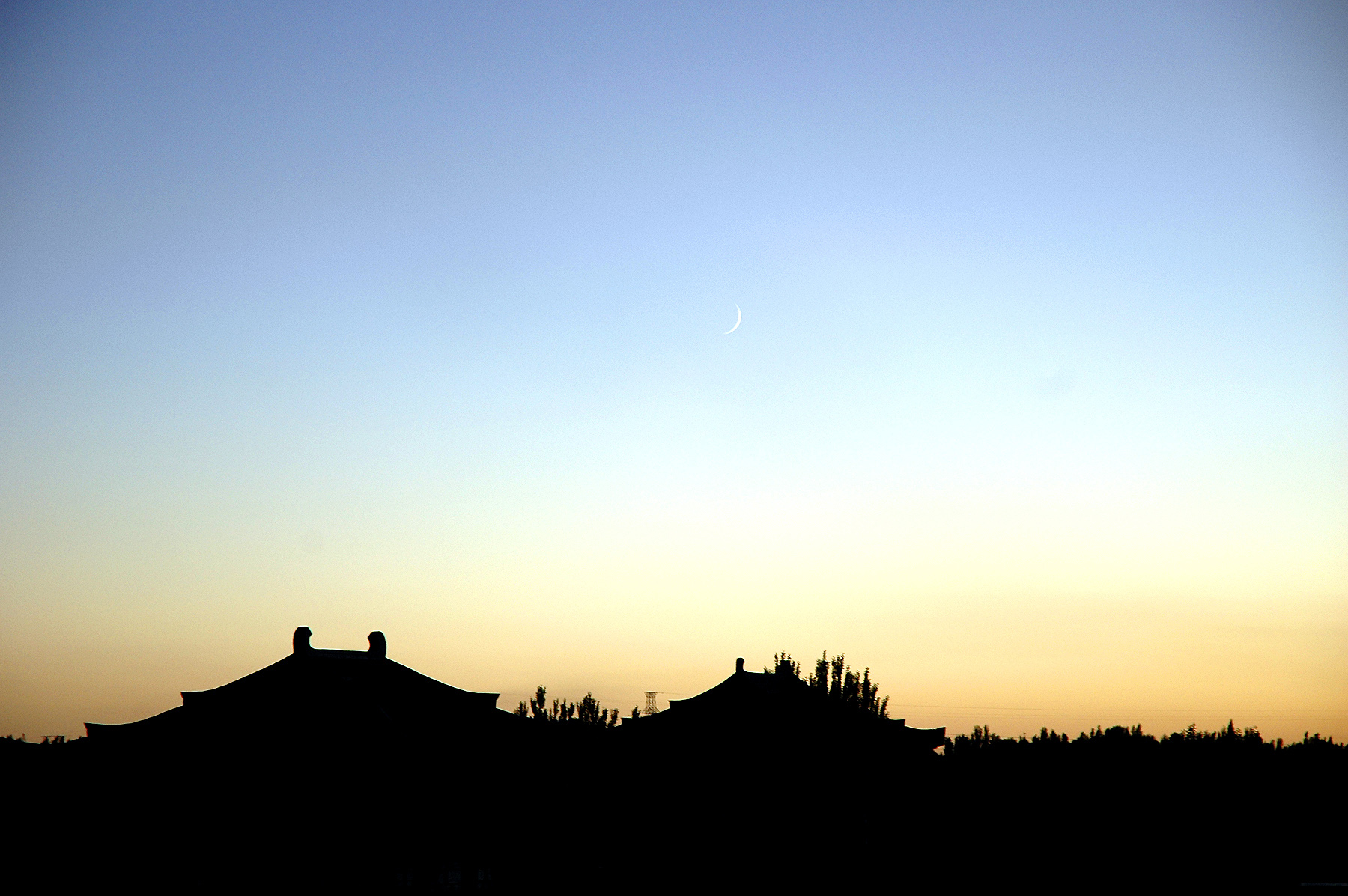 DSC_2481.JPG