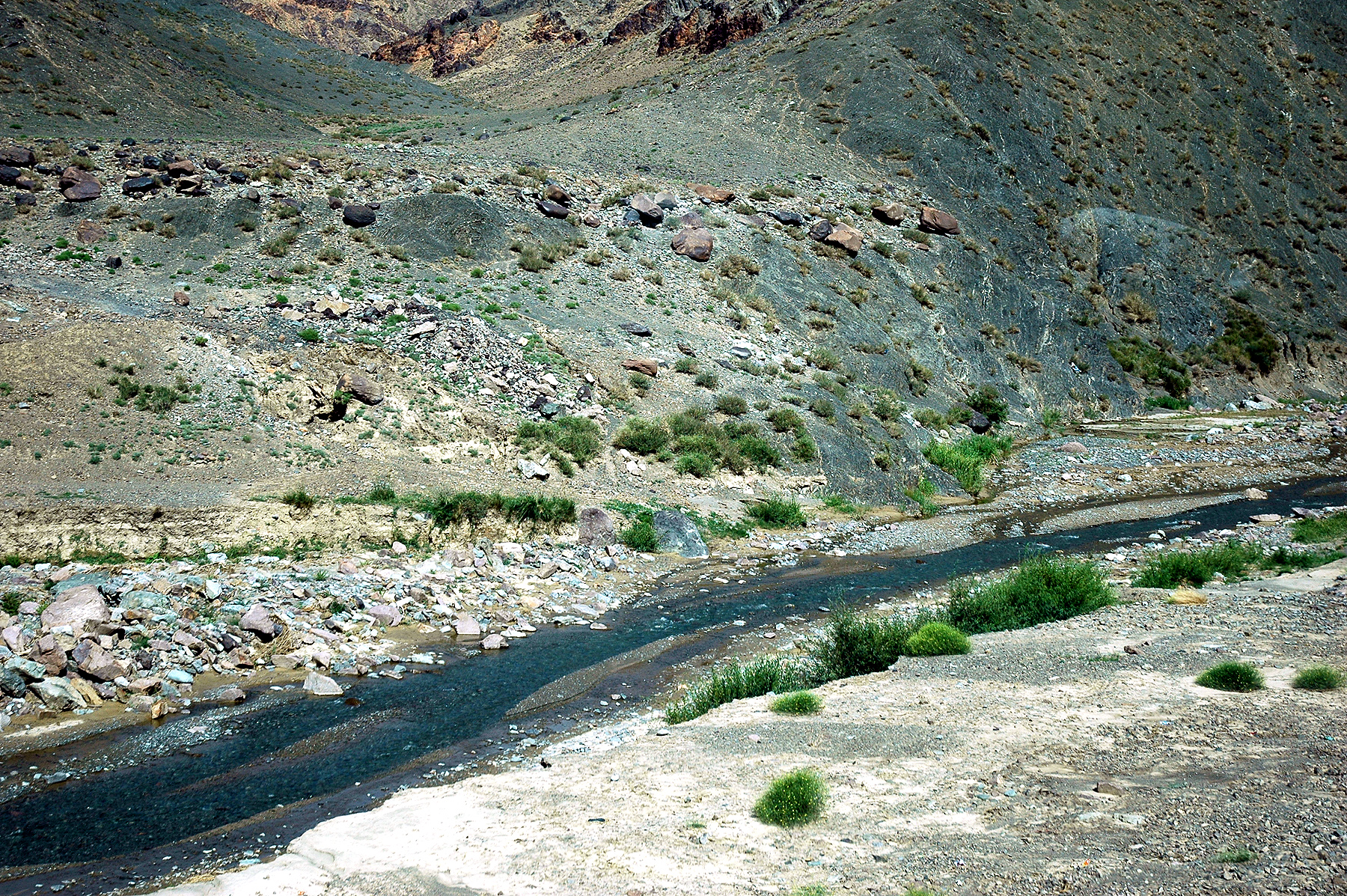 DSC_2236.JPG