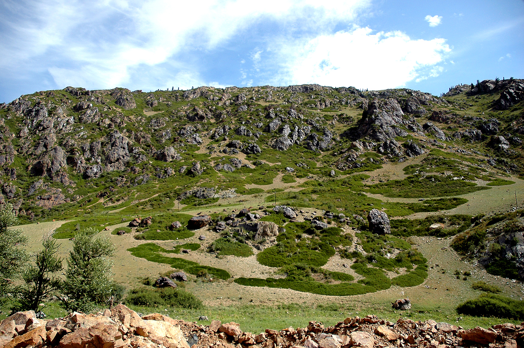 DSC_2268.JPG