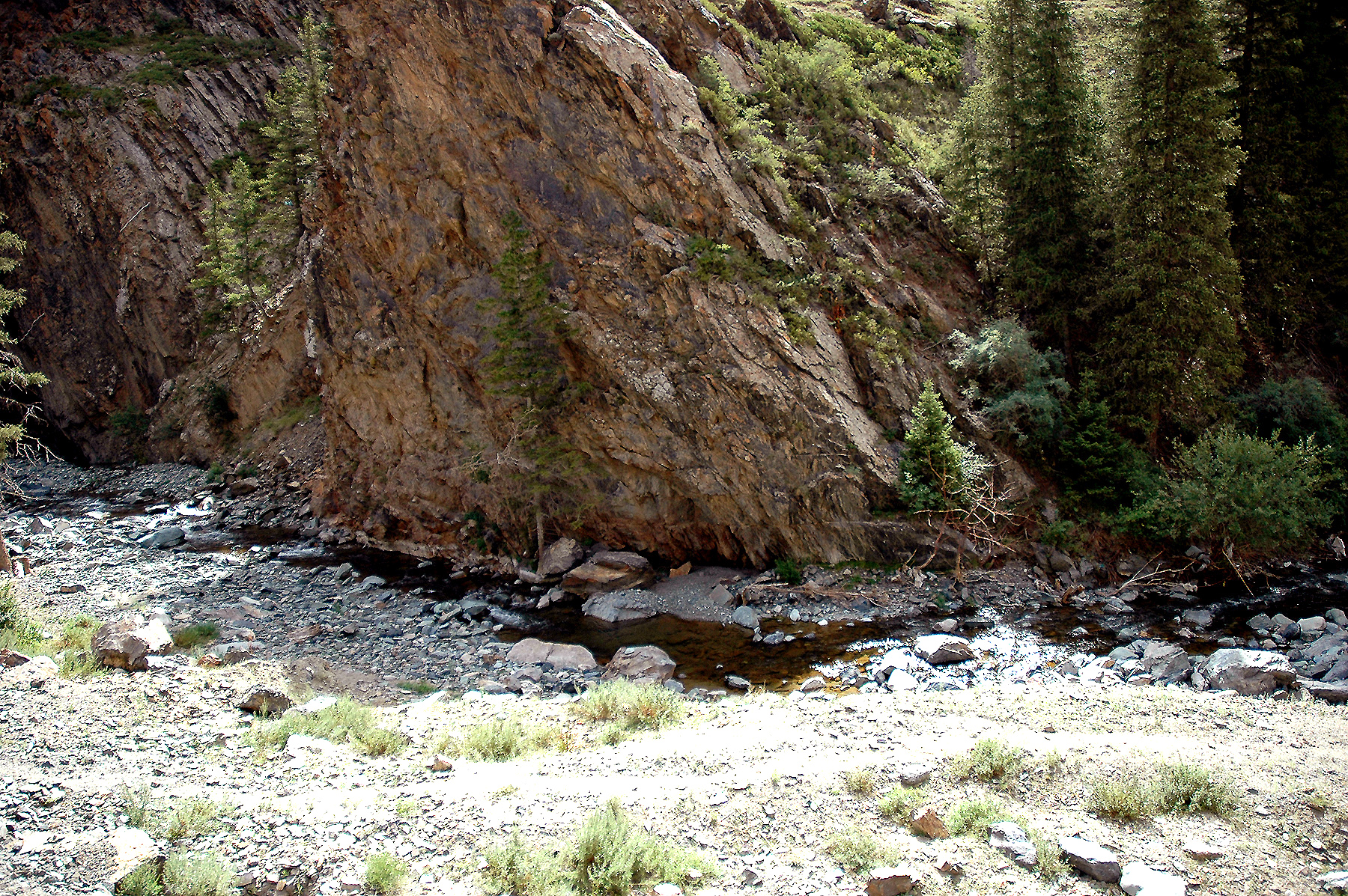 DSC_2270.JPG