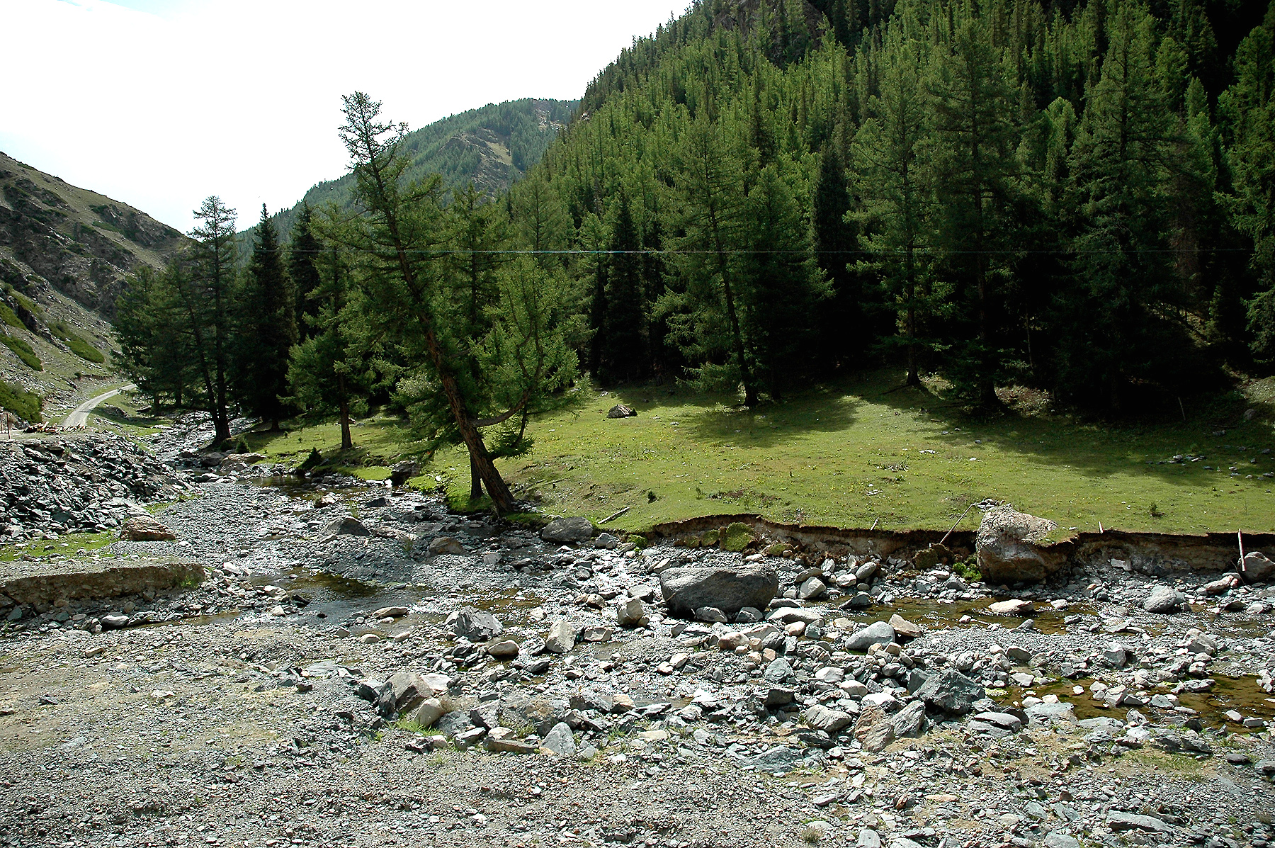 DSC_2281.JPG