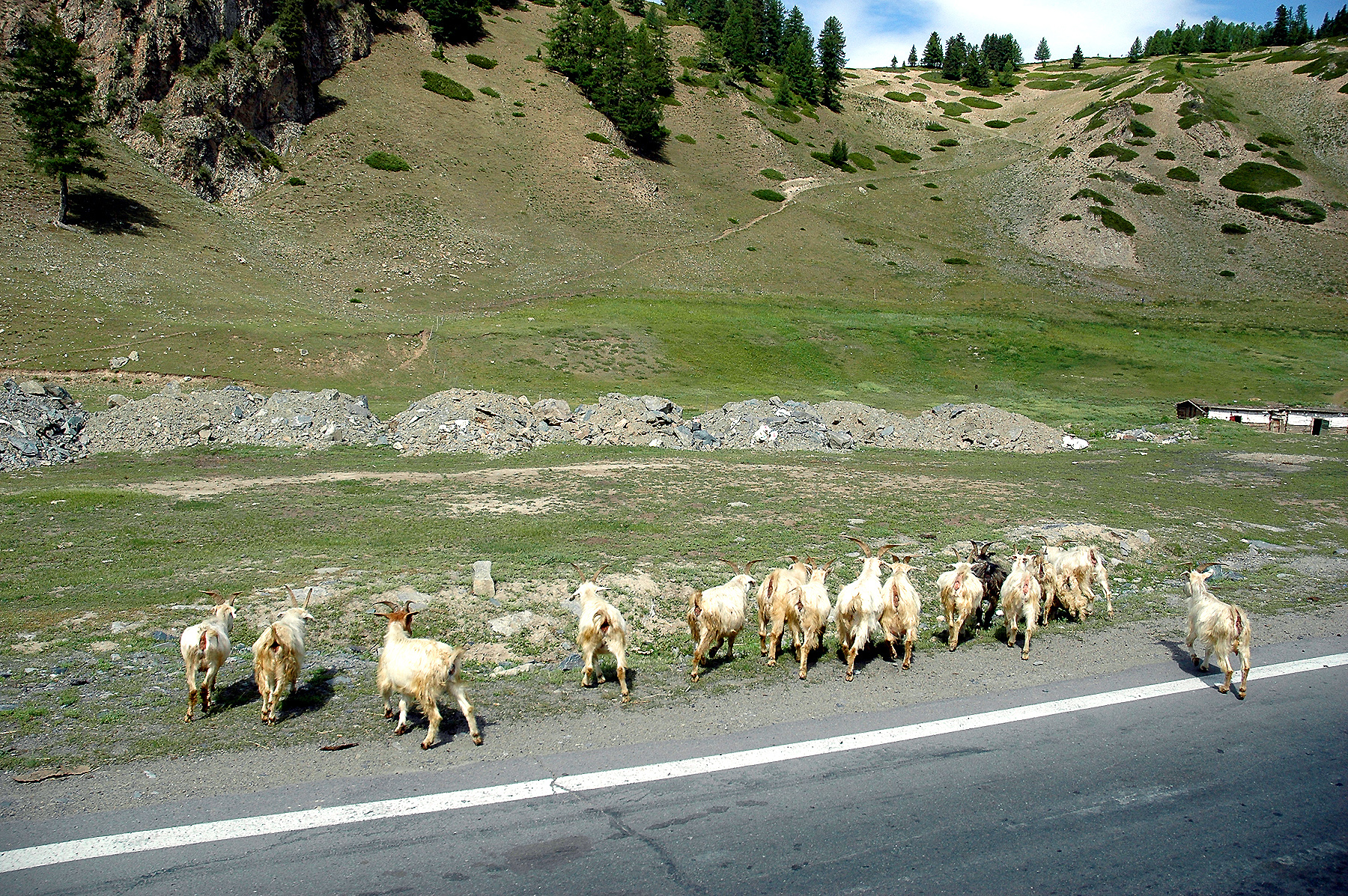 DSC_2285.JPG