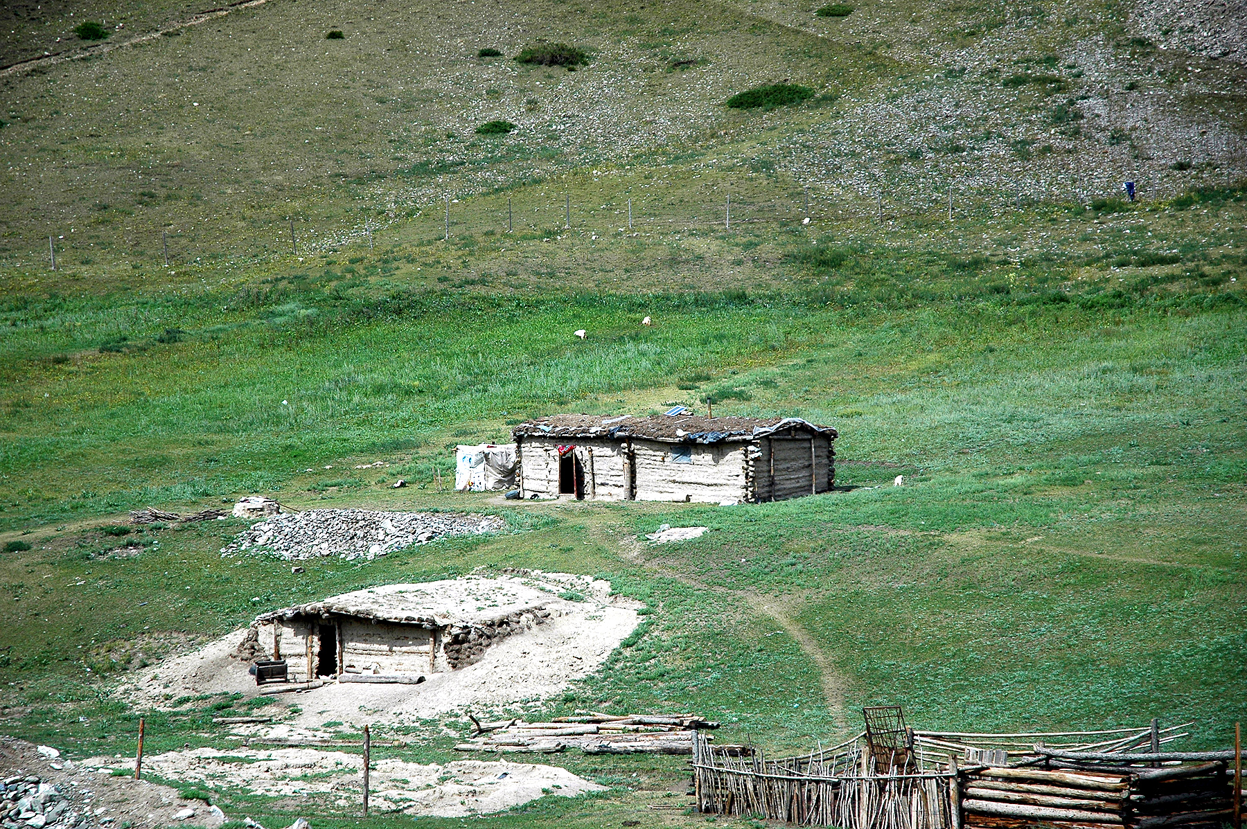 DSC_2288.JPG