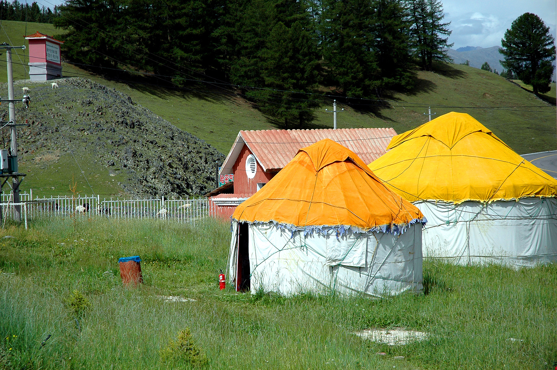 DSC_2295.JPG
