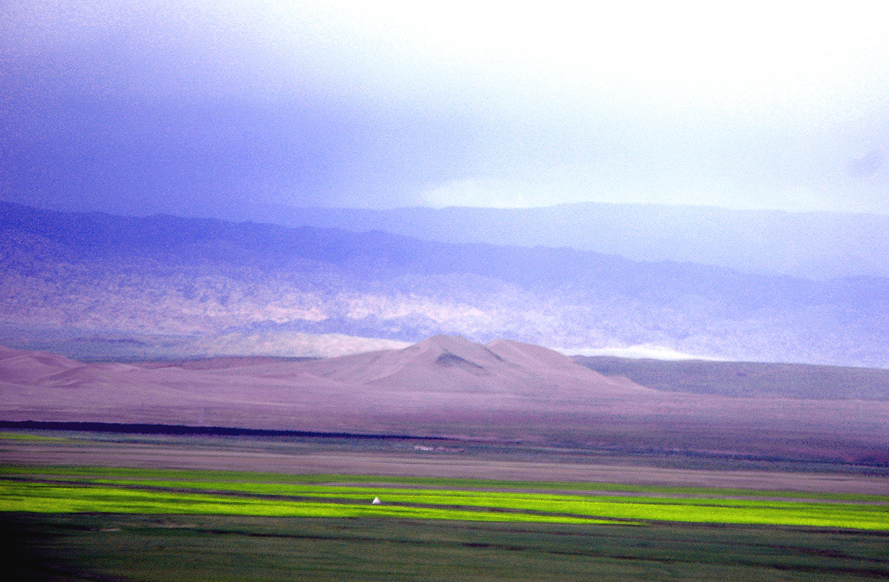 DSC_2299.JPG