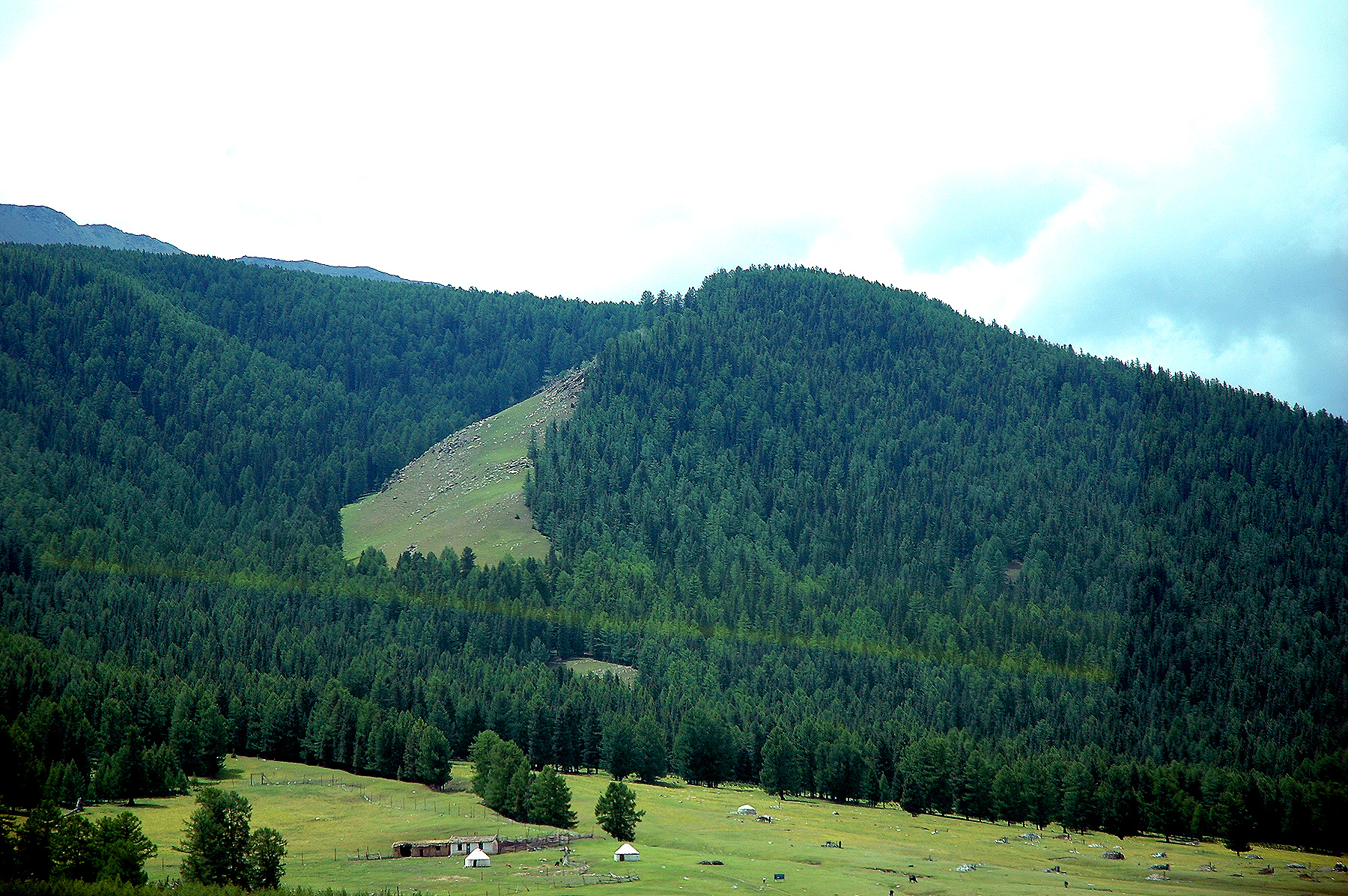 DSC_2301.JPG