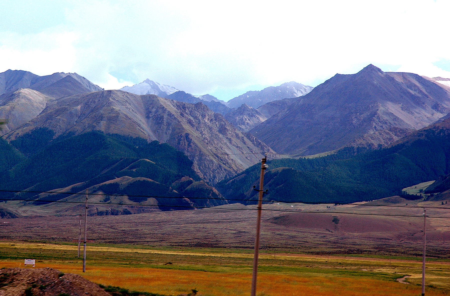 DSC_2310.JPG