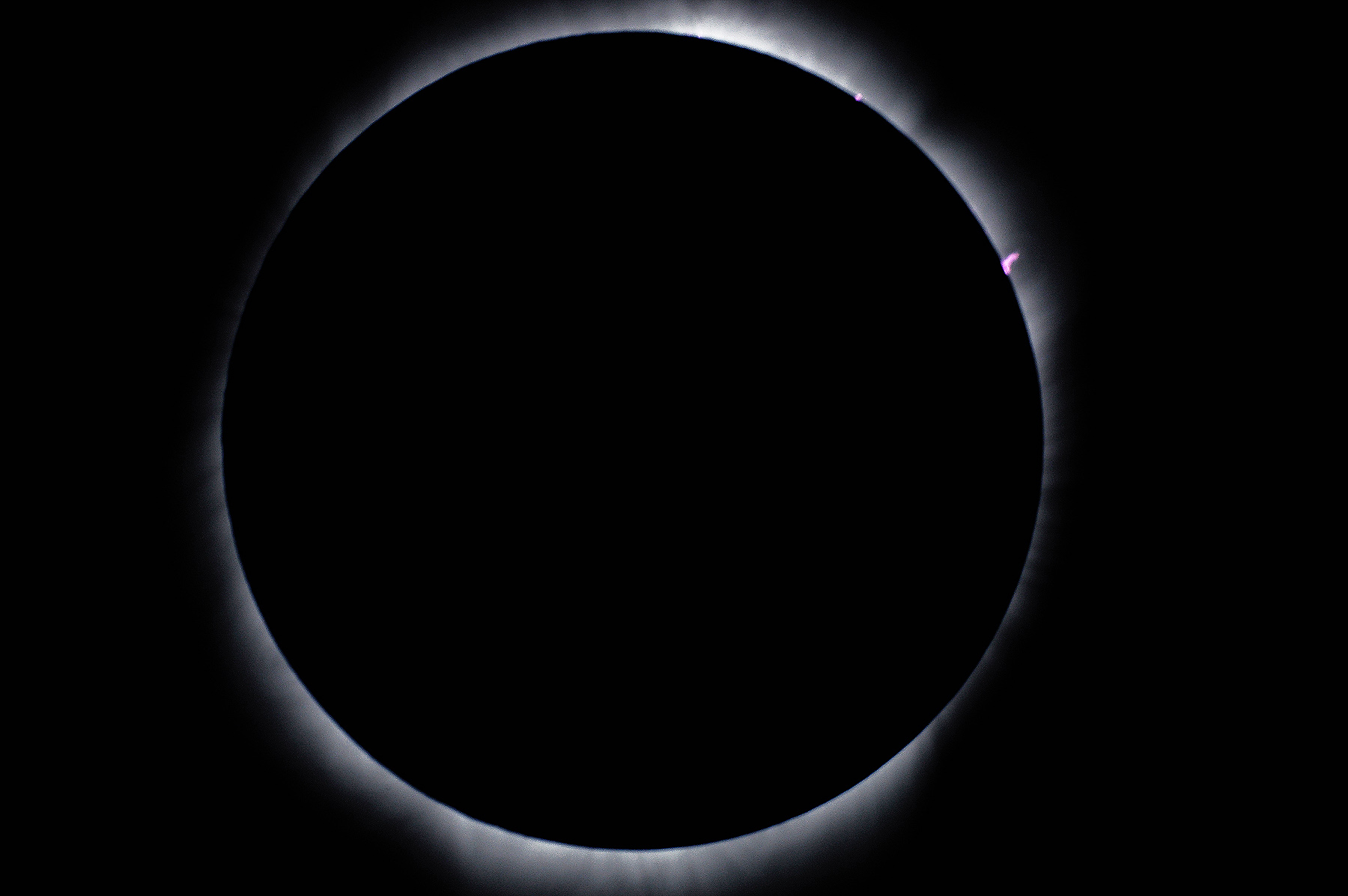 Eclipse 2017 - A54 - Solar Prominences during a Total Solar Eclipse