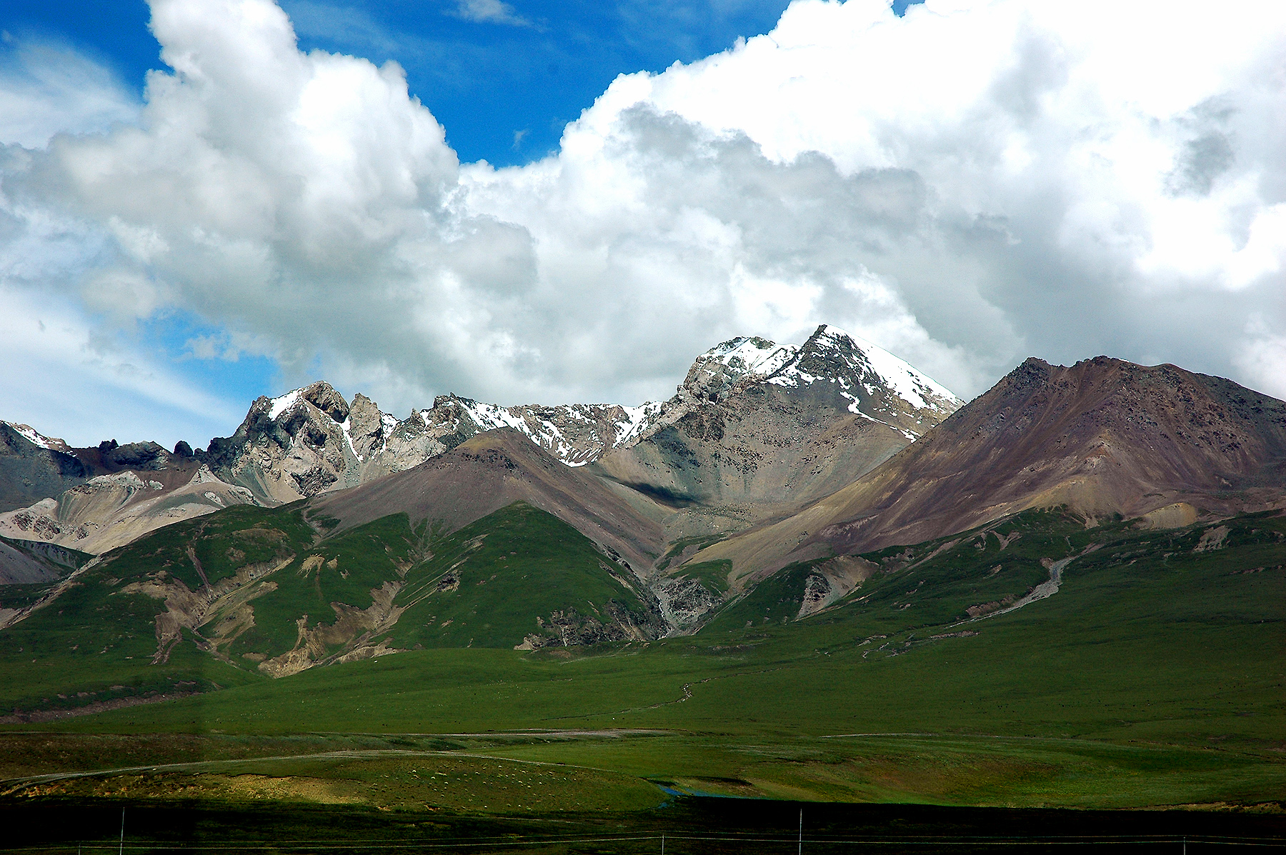 dsc_1867.jpg