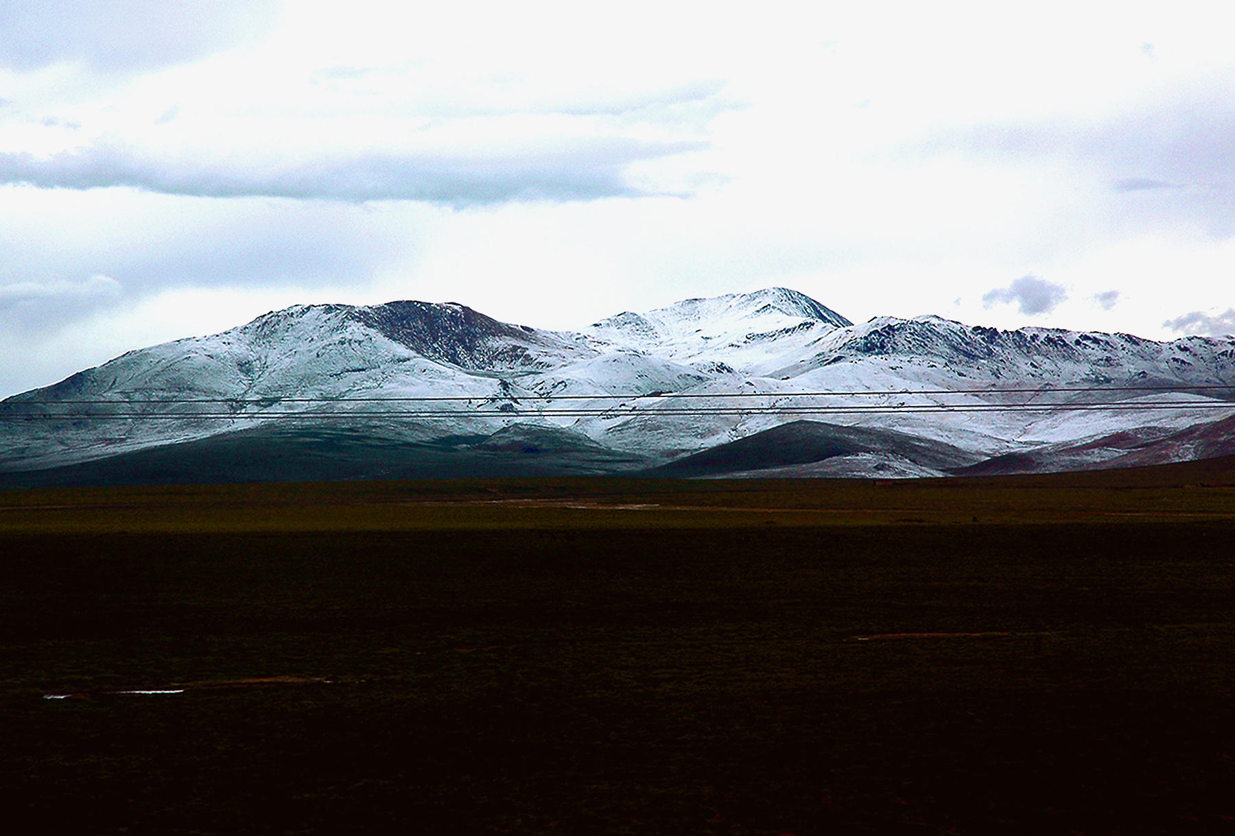 dsc_1896.jpg