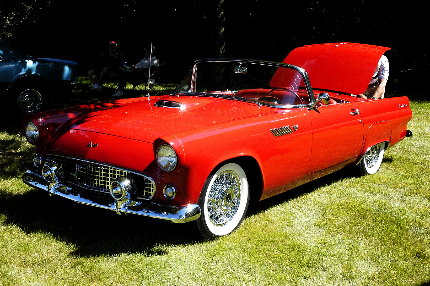 DSC_2551.JPG