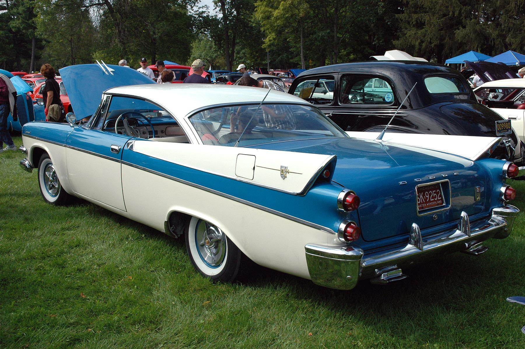DSC_2561.JPG