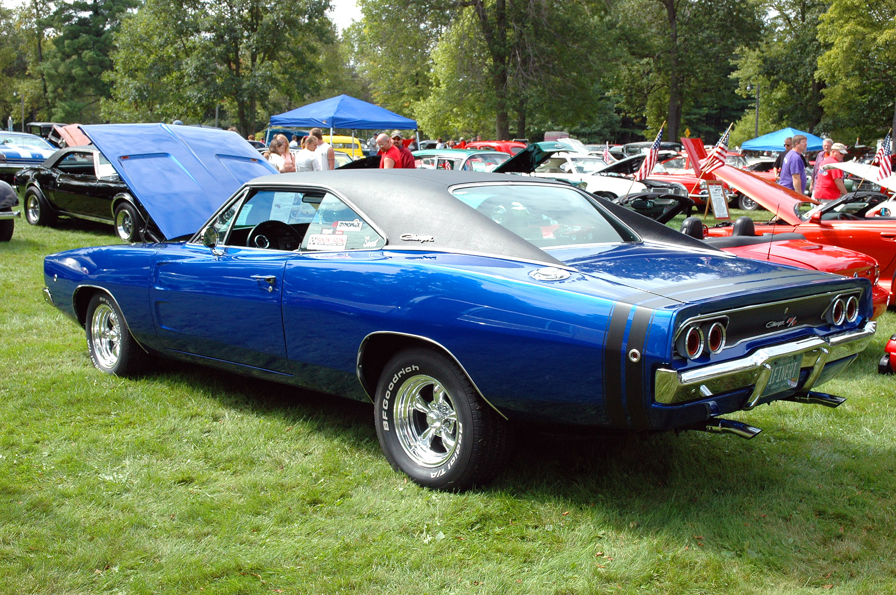 DSC_2570.JPG