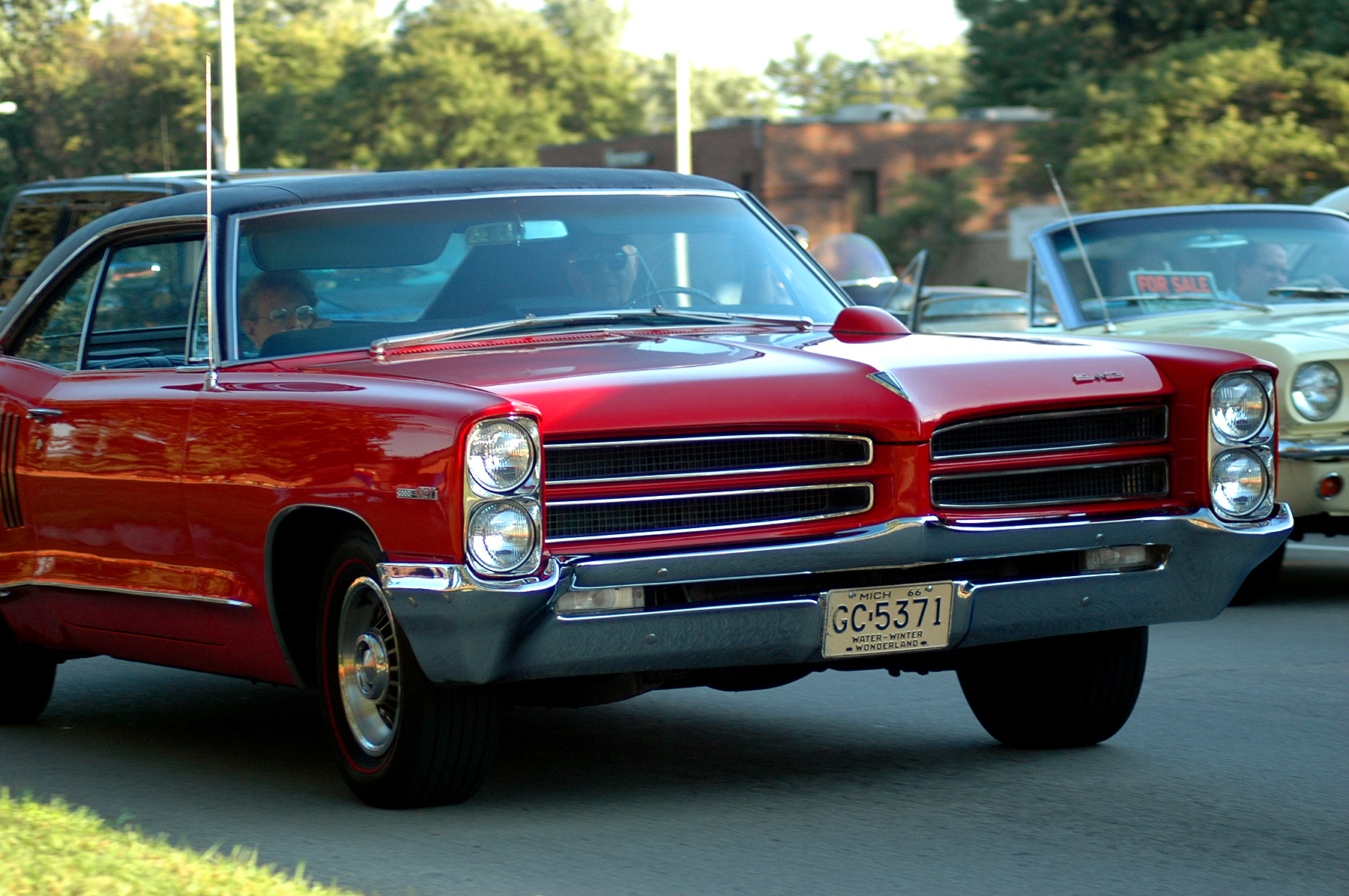 DSC_6591.JPG