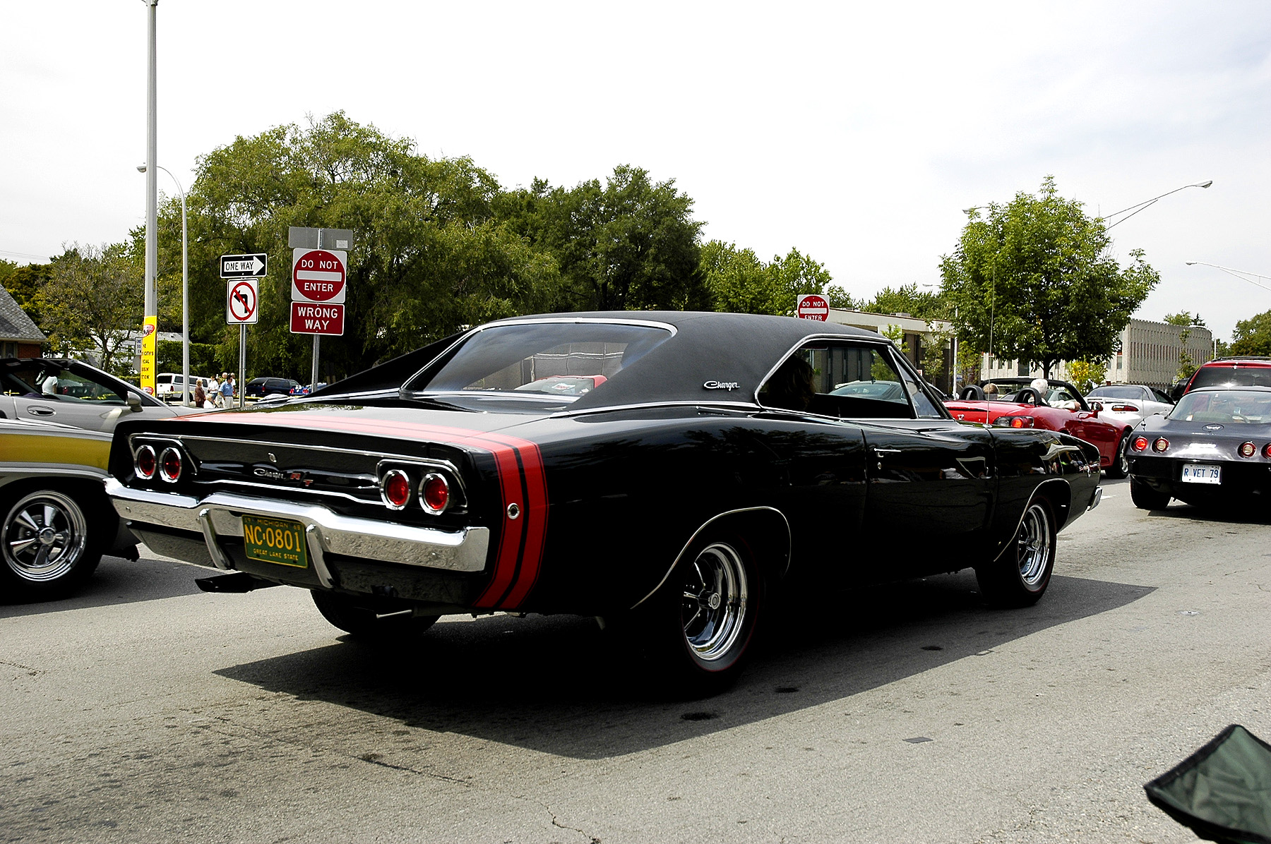 DSC_6666.JPG