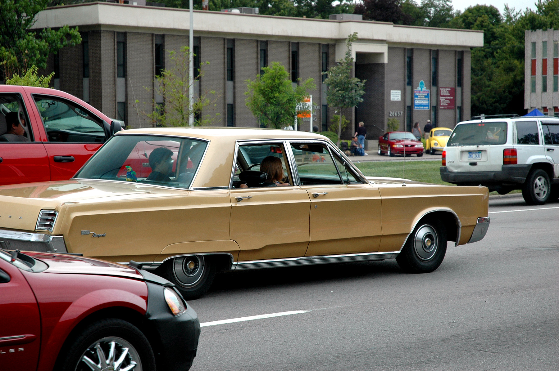 DSC_6709.JPG