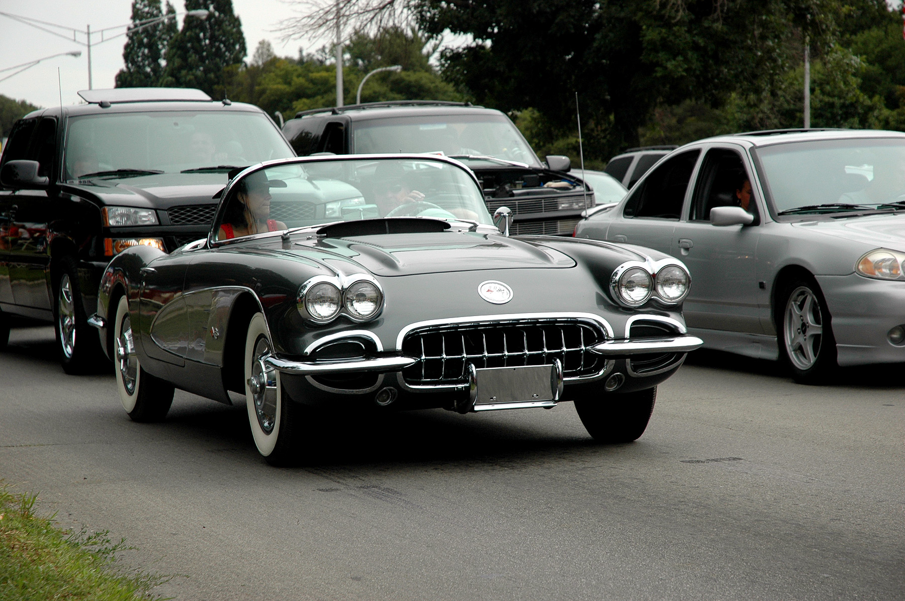 DSC_6724.JPG