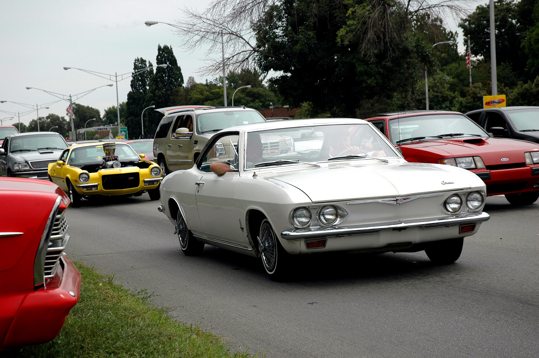 DSC_6729.JPG