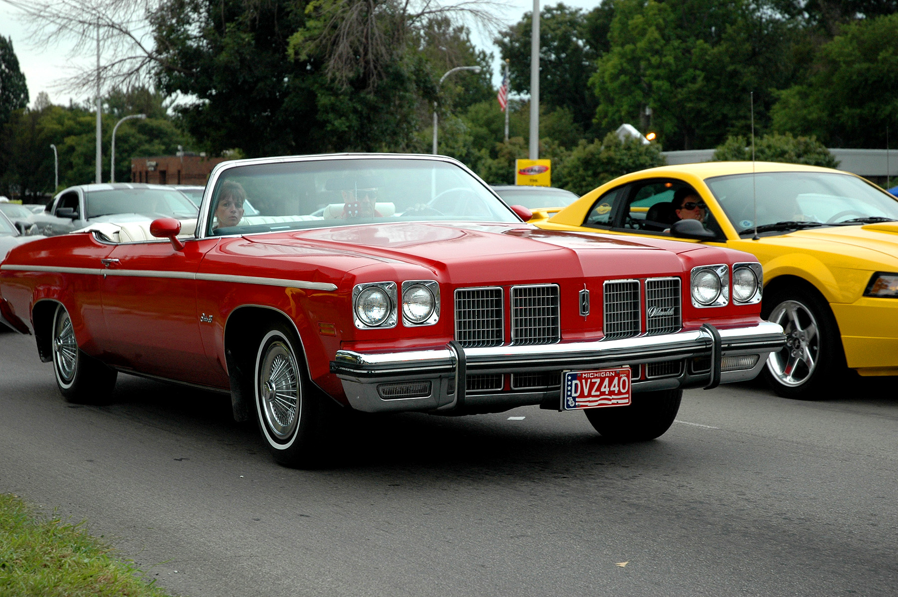 DSC_6802.JPG