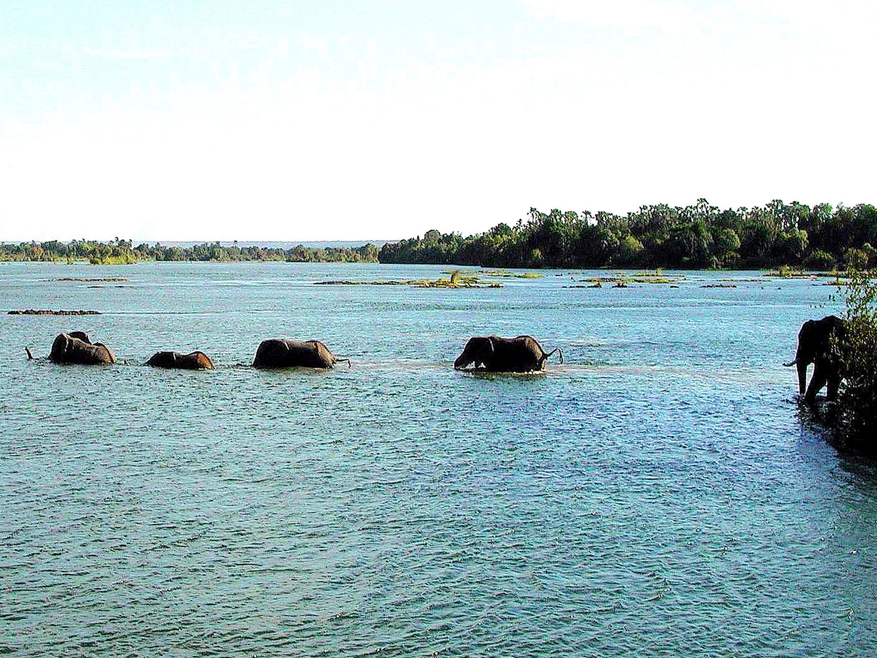 DSCN1240.JPG