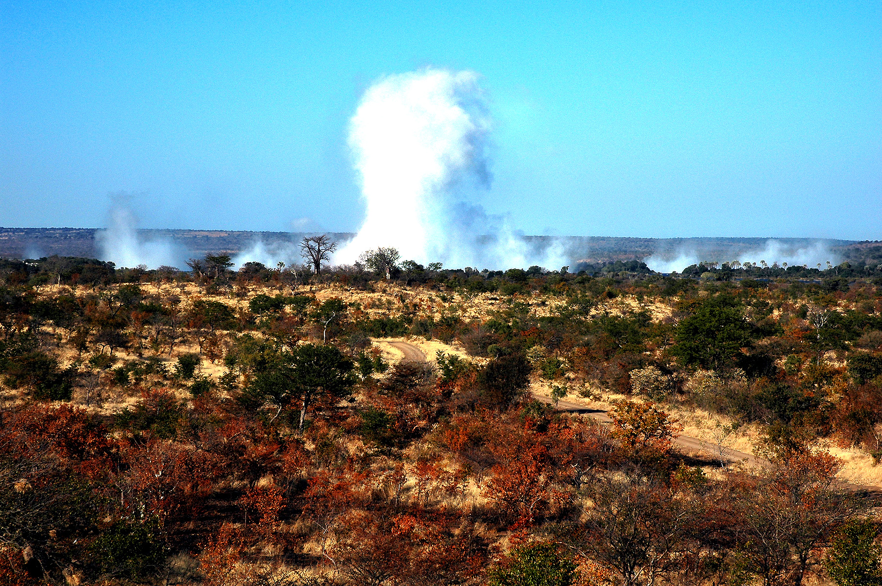 DSC_0722.jpg