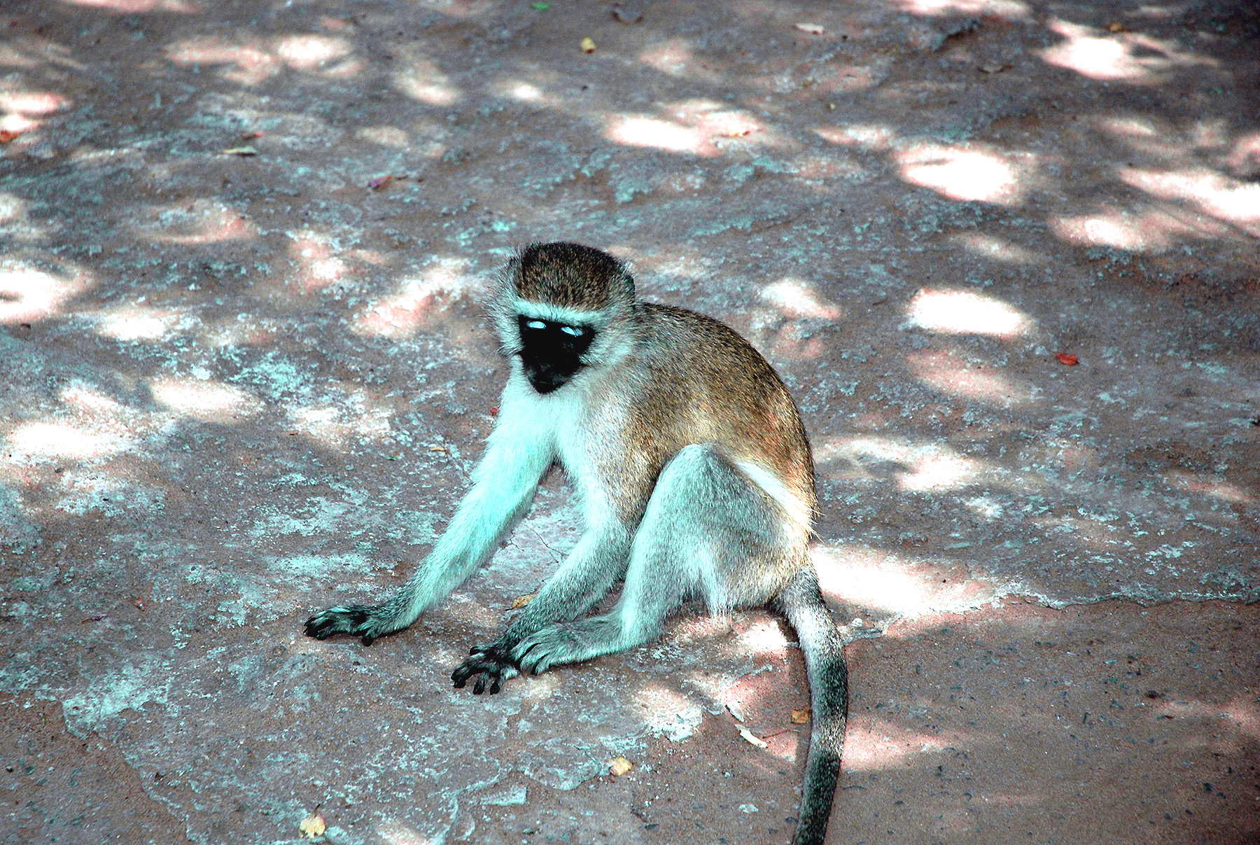 DSC_0756.jpg