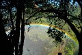 zambia-rainbow-thru-tree-740.jpg